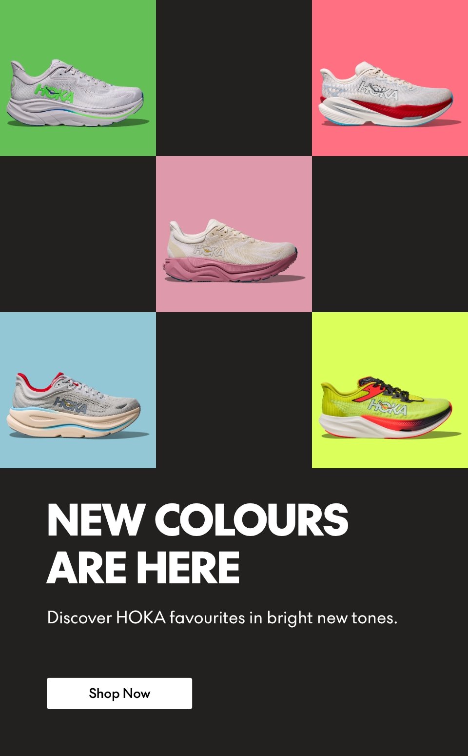 Bright New Colours Are Here