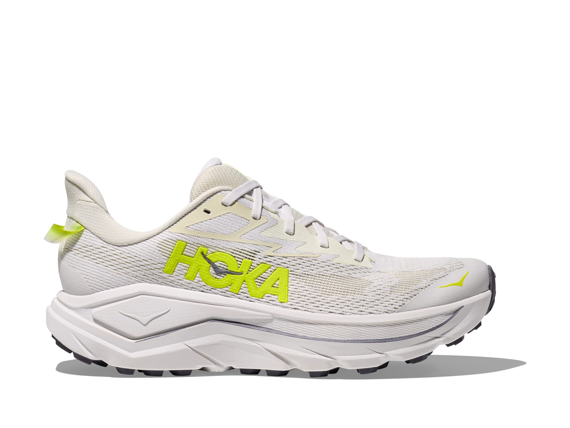 Shop Mens Challenger 8 Jade / Truffle Salt | HOKA AU